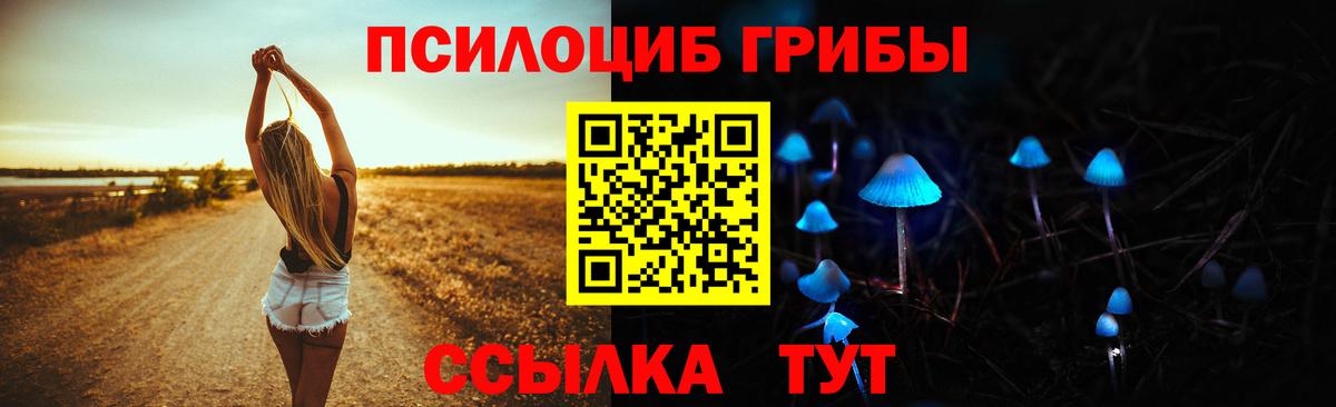 Псилоцибиновые грибы прущие грибы  Вход с VPN  Большой Камень  Галлюциногенные грибы Psilocybine cubensis 
